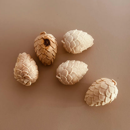 Holzdeko Zirbenzapfen aus Zirbenholz – 5 cm, natürliche Dekoration