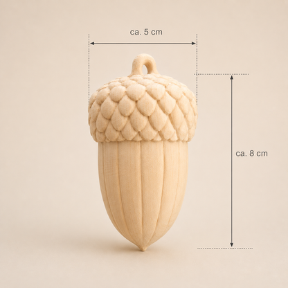 Eichel mit Maßen 8 x 5 cm auf neutralem Hintergrund