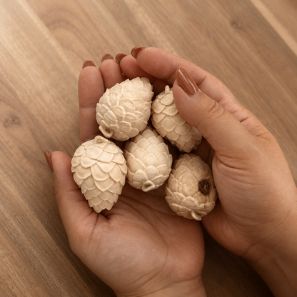 Holzdeko Zirbenzapfen aus Zirbenholz – 5 cm, natürliche Dekoration